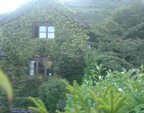 Horseshoe Pass Holiday Lets Лланголлен Номер фото